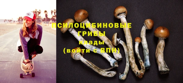 ALPHA PVP Алзамай