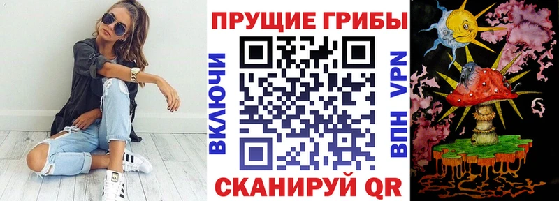 Галлюциногенные грибы Cubensis как найти MEGA как зайти Пикалёво